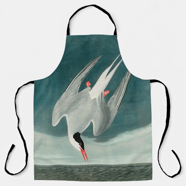 Arctic Tern Audubon Bird Wildlife Painting Schürze (Vorderseite)