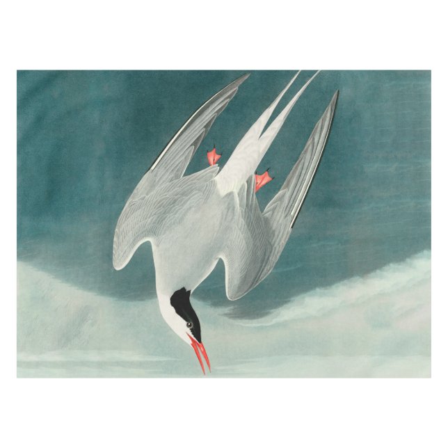 Arctic Tern Audubon Bird Wildlife Painting Tischdecke (Vorderseite (Horizontal))