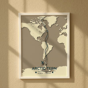Arctic Tern Migration Map - Minimalistisch Vintage Poster