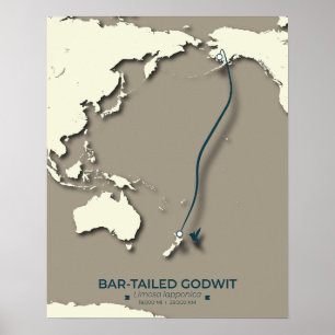 Arctic Tern Migration Map - Minimalistisch Vintage Poster