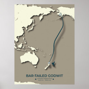 Arctic Tern Migration Map - Minimalistisch Vintage Poster