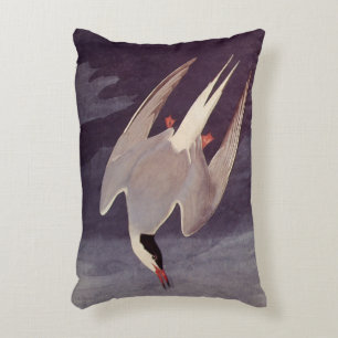 Arctic Tern von John James Audubon, Vintage Vögel Dekokissen