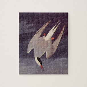 Arctic Tern von John James Audubon, Vintage Vögel Puzzle