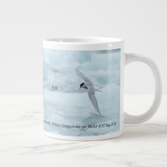 Arctic Terns 20 oz. Tasse von RoseWrites (Rechts)