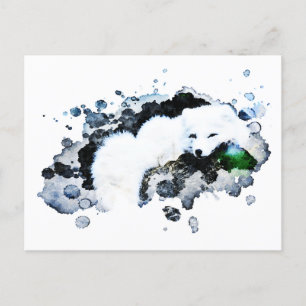 *~* Arctic White - Snow Polar Fox Ap18 Wildlife Postkarte