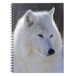 Arctic White Wolf Notebook Notizblock