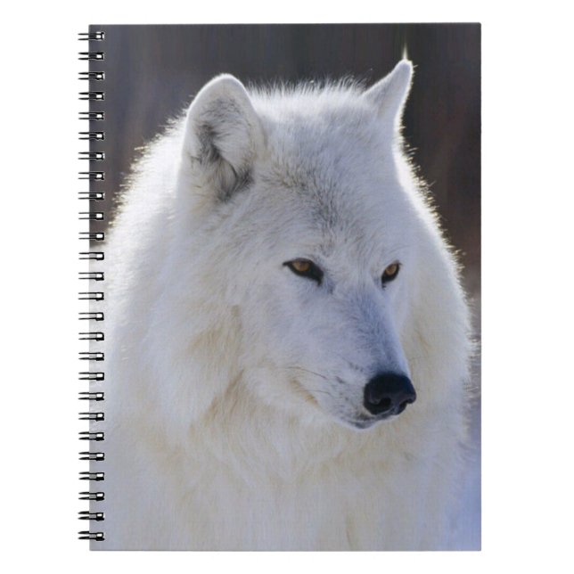 Arctic White Wolf Notebook Notizblock (Vorderseite)