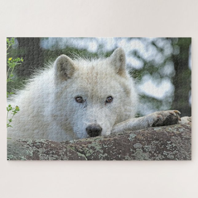 ARCTIC WOLF 20x30 INCH Puzzle (Horizontal)