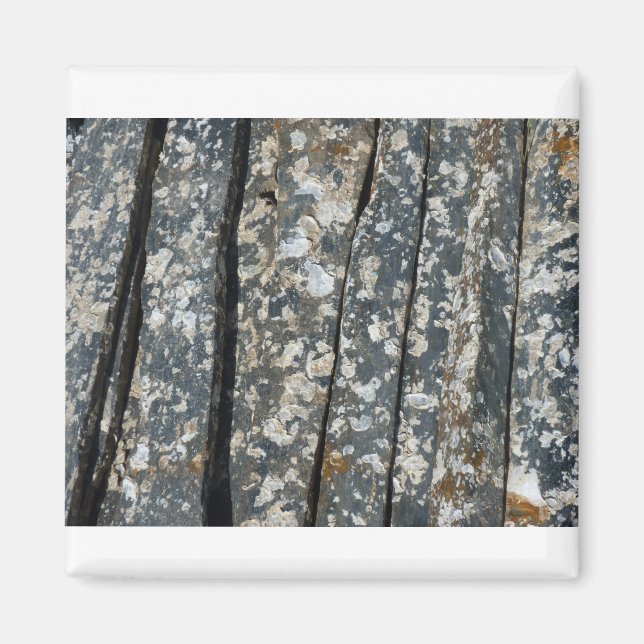 Ardots Magnet (Vorne)