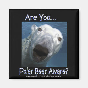 Are_you_polar_bear_aware Magnet