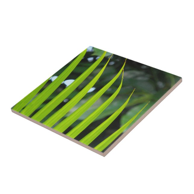 Areca-Palmenwedel Fliese (Seite)