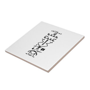 Arecibo Binary Message 1974 Fliese