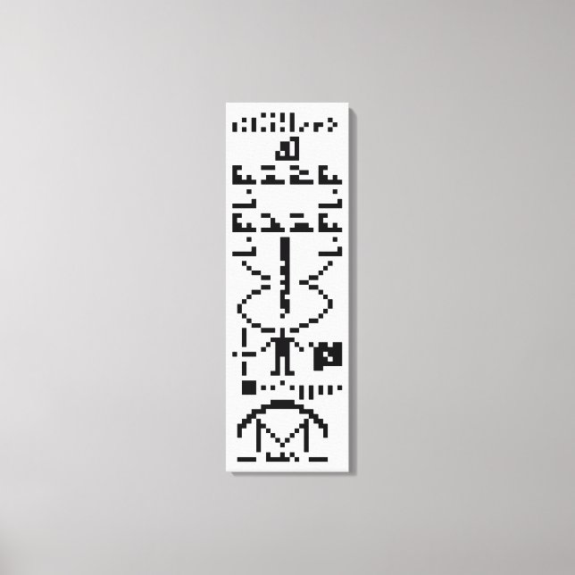 Arecibo Binary Message 1974 Leinwanddruck (Vorderseite)
