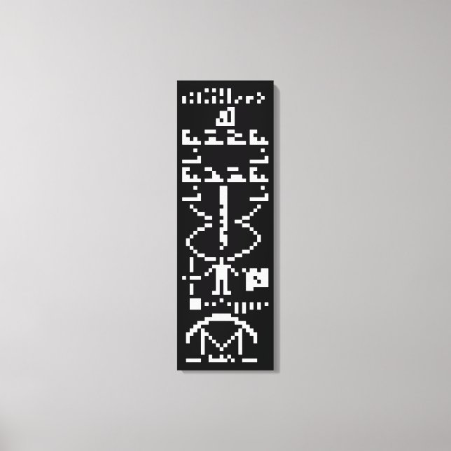 Arecibo Binary Message 1974 Leinwanddruck (Vorderseite)