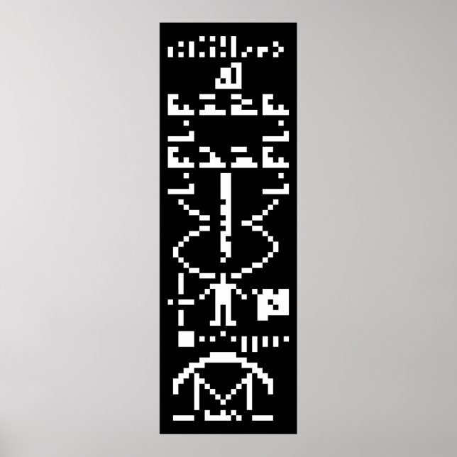 Arecibo Binary Message 1974 Poster (Vorne)
