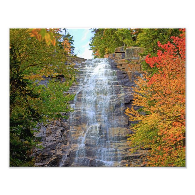 Arethusa Falls Druck (Vorne)