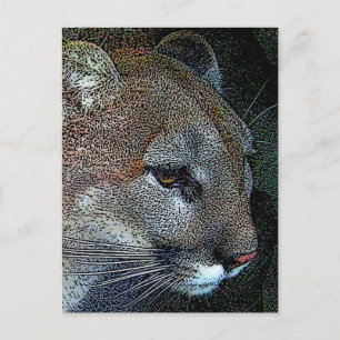 Arful Nature Cougar Postcard Postkarte