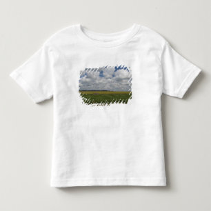 Argentinien, Buenos Aires, San Antonio de Areco. Kleinkind T-shirt