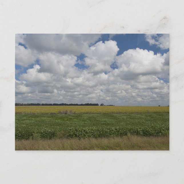 Argentinien, Buenos Aires, San Antonio de Areco. Postkarte (Vorderseite)