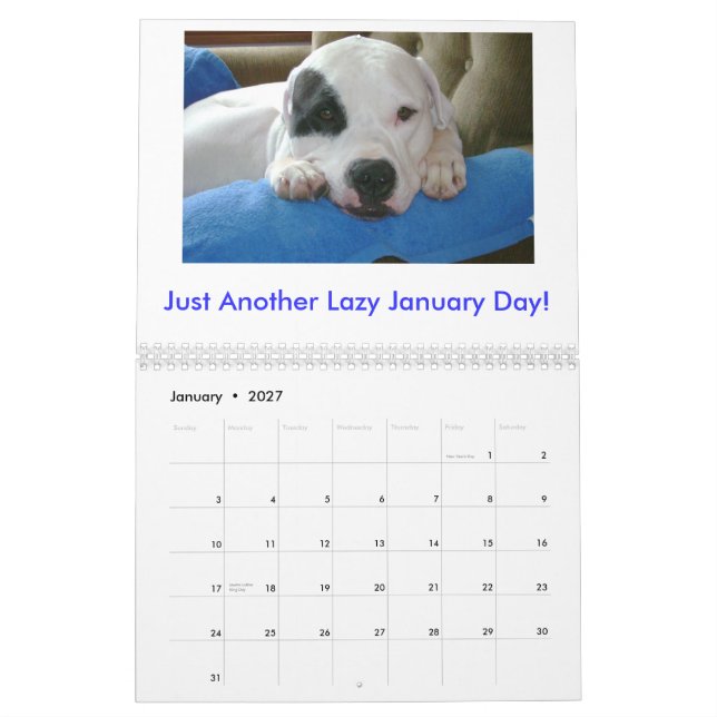 Argentinien Dogo Kalender (Jan 2027)