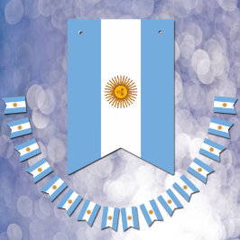 Argentinien Flagge & Party Argentinien Banner /Hoc