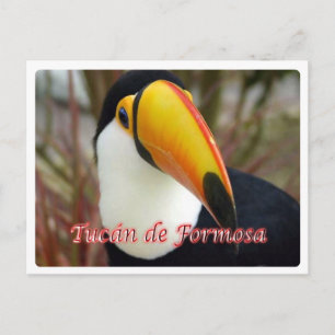 Argentinien - Tucán de Formosa - Postkarte