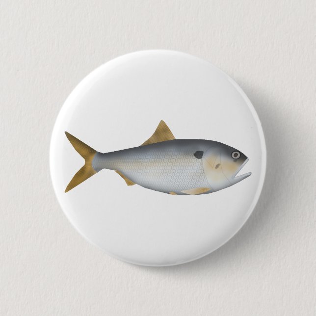 Argentinische Menhaden Button (Vorderseite)
