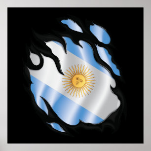 Argentinische Rippfahne Poster