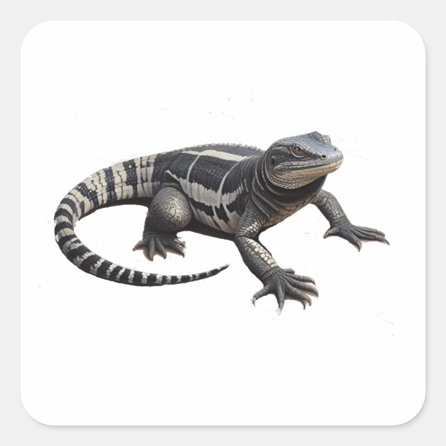 Argentinischer Schwarz-Weiß-Tegu Quadratischer Aufkleber (Vorderseite)