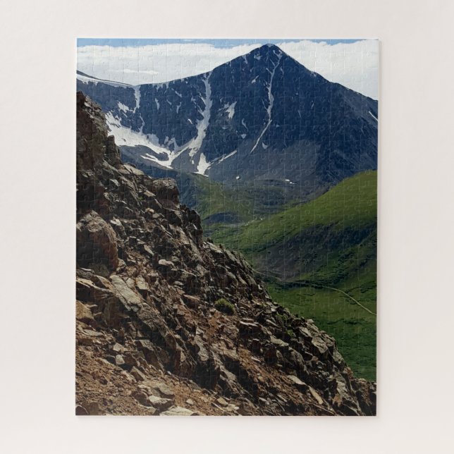 Argentinischer Spitzenreiter Puzzle (Vertikal)