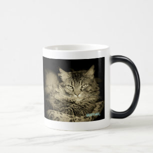 ÄRGER-MANAGEMENT HAT mürrischen Engel VERSAGT Verwandlungstasse