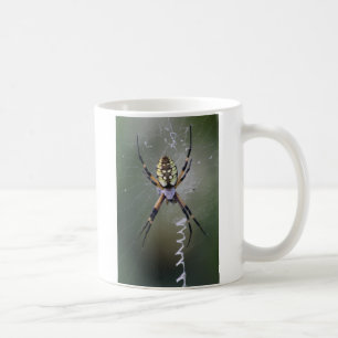 Argiope Aurantia Tasse