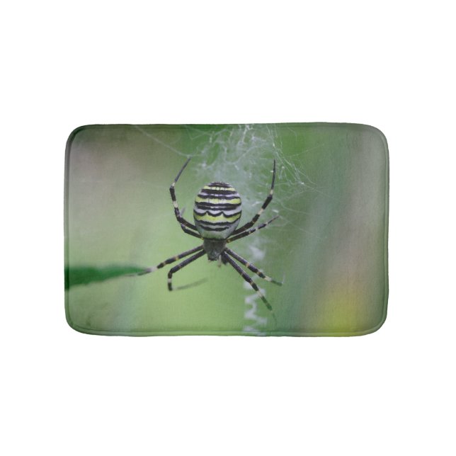 Argiope bruennichi badematte (Vorderseite)
