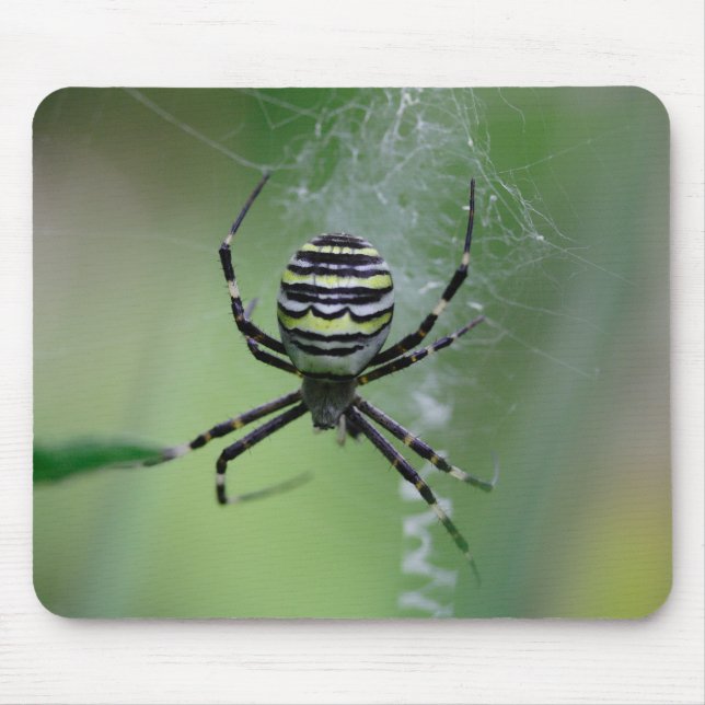 Argiope bruennichi mousepad (Vorne)
