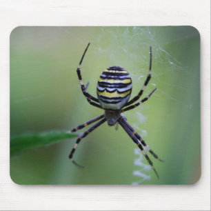 Argiope bruennichi mousepad