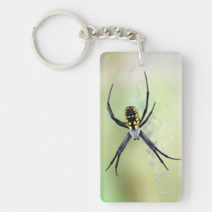 Argiope-Garten-Spinnen-Acryl-Schlüsselanhänger Schlüsselanhänger