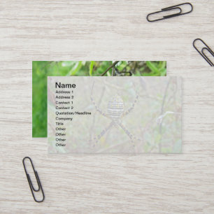 Argiope Orb Weaver Spiders Visitenkarte