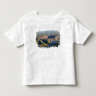 Argyle-Diamantenmine Kleinkind T-shirt