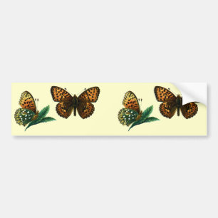 Argynnis aglaja autoaufkleber