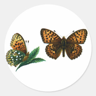 Argynnis aglaja runder aufkleber