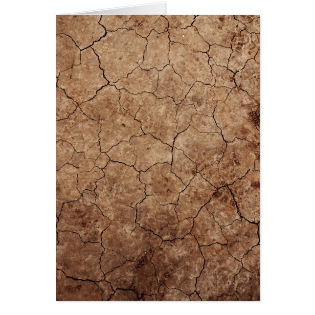 Arid Dry Cracked Earth (Vorne)