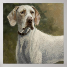Ariege Pointer - Dog Portrait Poster