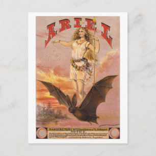 Ariel auf einem Bat Postkarte