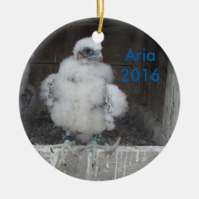 Arien-Verzierung 2016 Keramikornament (Vorne)