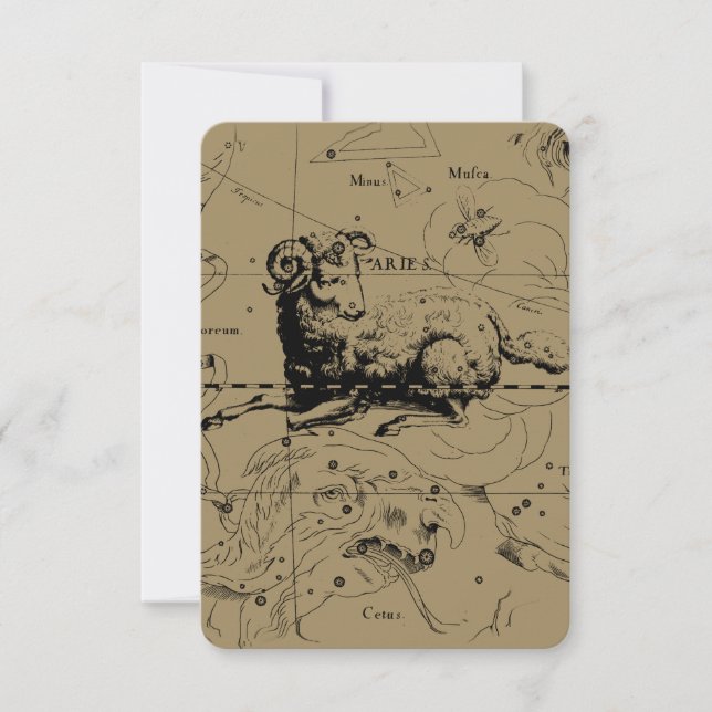 Aries Constellation Map Hevelius circa 1690 (Vorderseite)