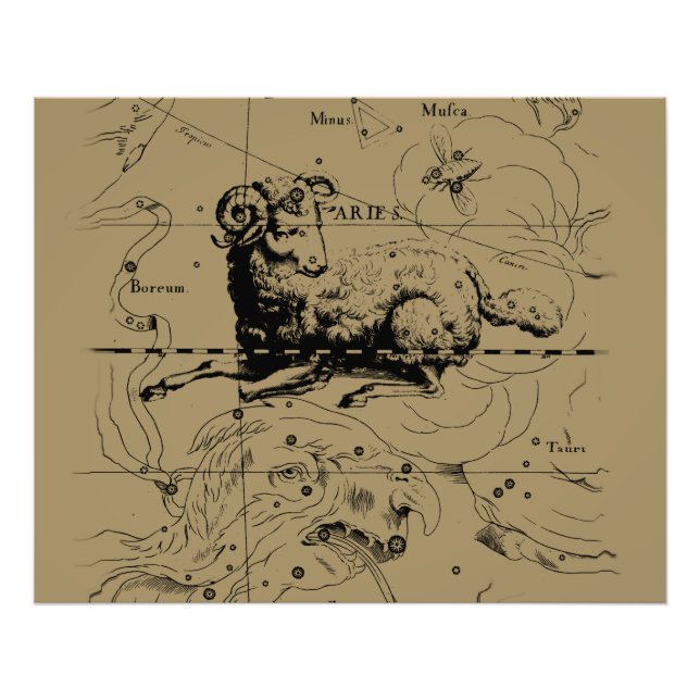 Aries Constellation Map Hevelius circa 1690 Fotodruck (Vorne)