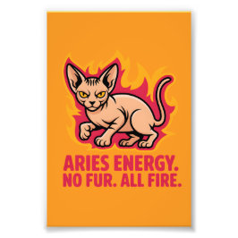 Aries Energy Sphynx Cat Fire Illustration Fotodruck
