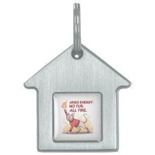 Aries Energy Sphynx Katze Ohne Fell Alles Feuer Ku Tiermarke