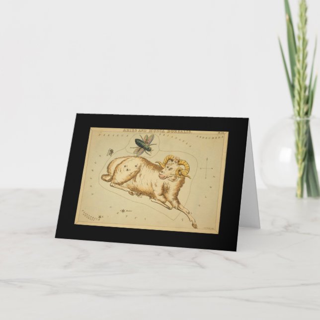 Aries Grußkarte Feiertagskarte (Vorderseite)