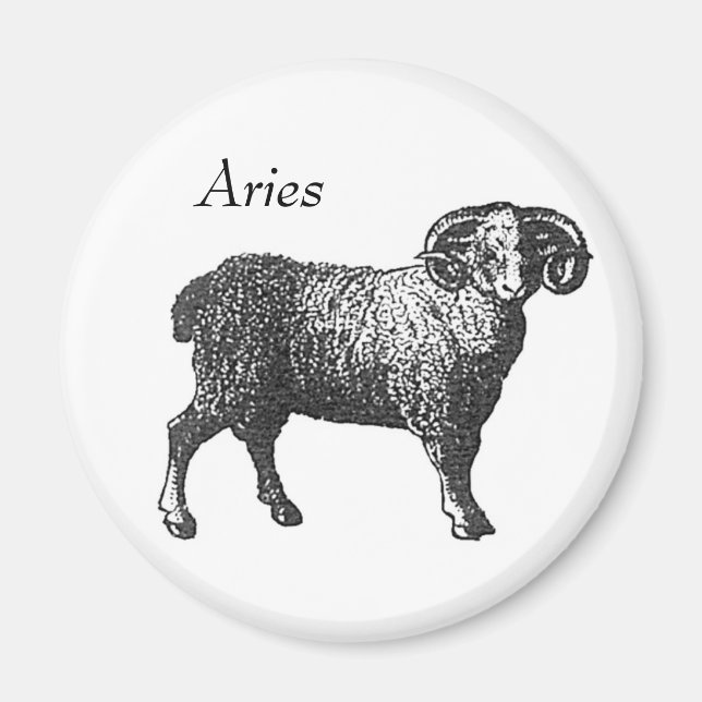 Aries Magnet (Vorne)